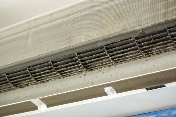 Trusted Lake Shore, MD Airduct Cleaning Experts